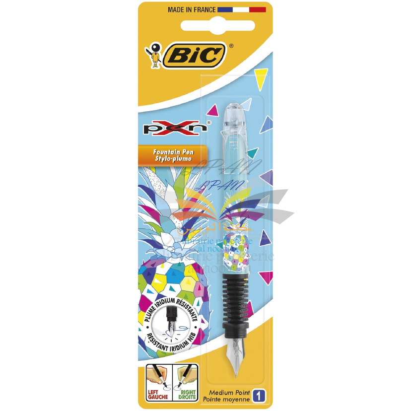 STYLO PLUME XPEB BIC