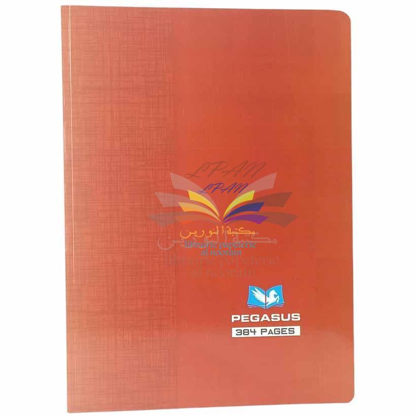 CAHIER BROCHURE 348P 21X29.7 60G PEGASUS