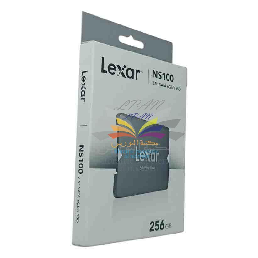 SSD 256GB NS100